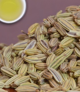 Fennel Seed