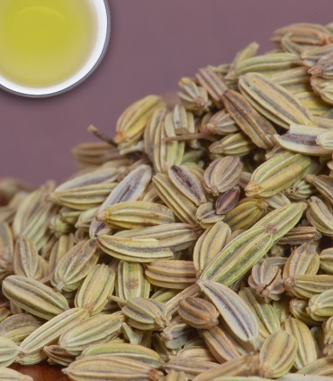 Fennel Seed