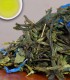Island Breeze - Green Tea - 