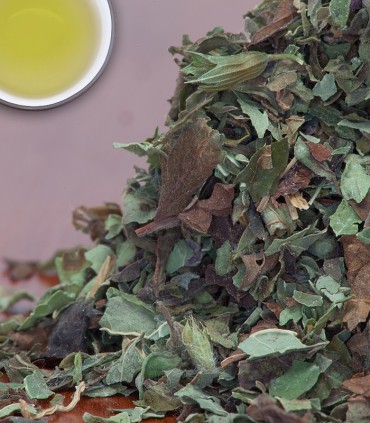Lemon Balm - Herbal & Decaf - 