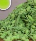 Matcha Genmaicha