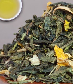 Sencha Echinacea