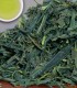 Mukoujima Sencha - Green Tea - 