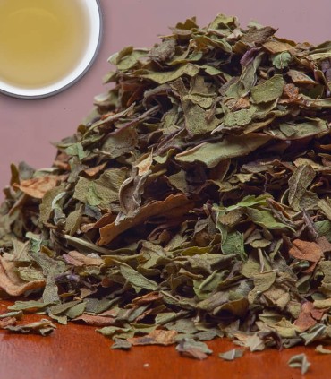 Peppermint Tea - Herbal & Decaf - 
