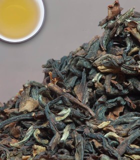 Darjeeling Organic | Organic Black Tea | The Tea Haus