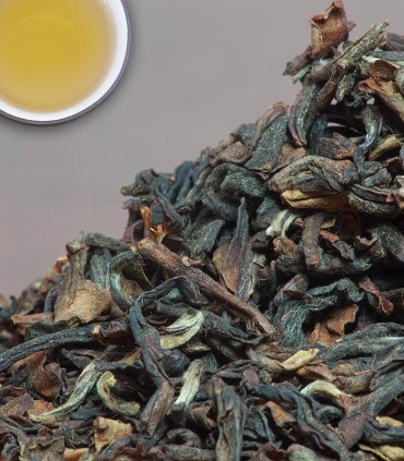 organic darjeeling