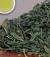 Organic Gyokuro | Organic Green Tea | The Tea Haus