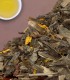 Decaf Green Mango - Herbal & Decaf - 