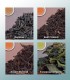 Black Tea Sampler| Black Teas | The Tea Haus