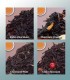 Chocolate Tea Sampler - Black Teas - 