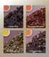 Chai Sampler - Tea Samplers - 