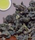 Se Chung Oolong