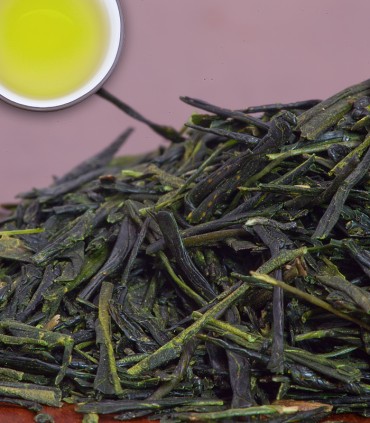 Fujieda Sencha - Green Tea - 