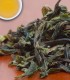 Darjeeling Castleton First Flush (2025) - All Teas - 