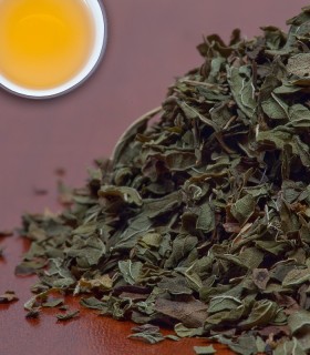 Arctic Spearmint - Herbal & Decaf - 