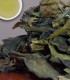 Organic Pai Mu Tan - White Tea - 