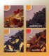 Customer Favourites - Iced Teas - Tea Samplers - 