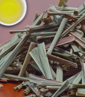 Lemon Grass - Herbal & Decaf - 