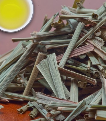 Lemon Grass - Herbal & Decaf - 