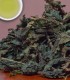 Nettle Tea - Herbal & Decaf - 