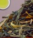 Gingko Sencha - Green Tea - 