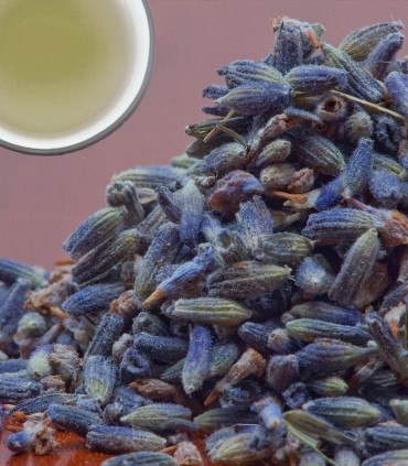 French Lavender