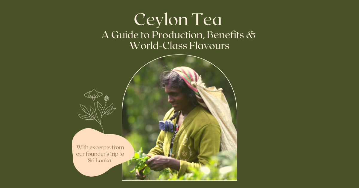Ceylon Tea: A Guide to Production, Benefits and Excellent Flavours!