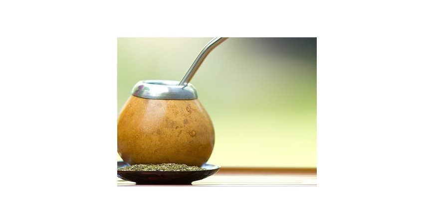 Here’s Why Yerba Mate is the Perfect Back-to-School Drink.