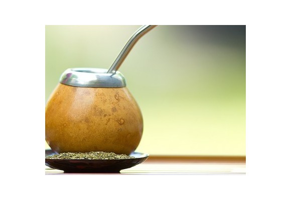 Here’s Why Yerba Mate is the Perfect Back-to-School Drink.